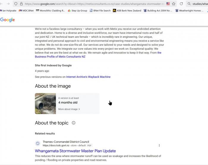 20210000 Metis website content2.jpg